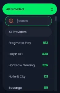Providers search functionality