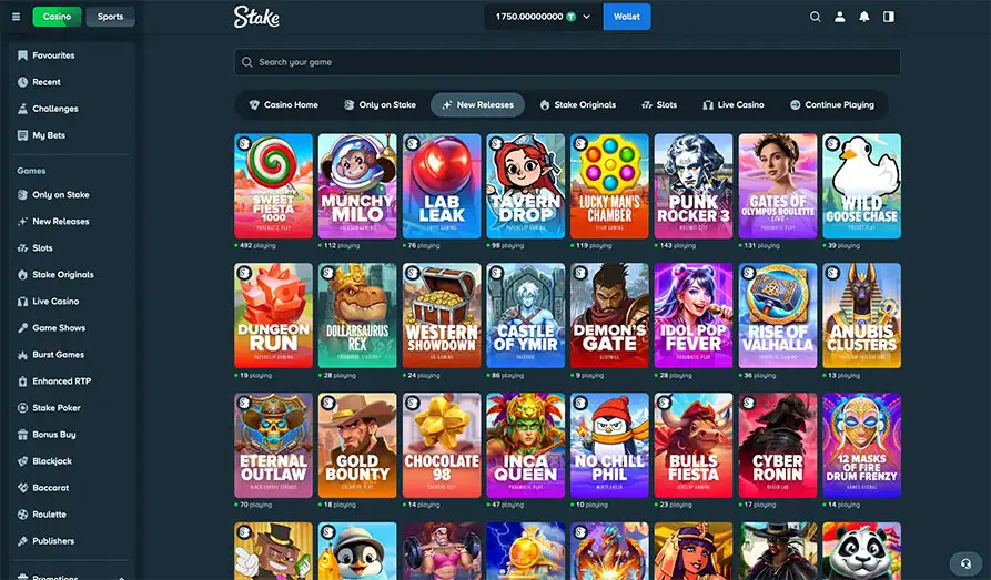 Stake Casino Desktop Screenshot 4